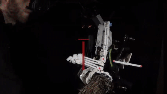 斯坦福大學工程師3D打印鳥類機器人